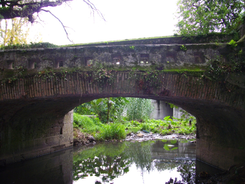 FOOTBRIDGE ACROSS RIVER JAMOR